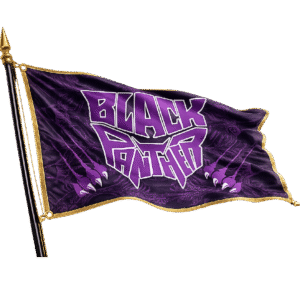 BANDERA 100% SUBLIMADA