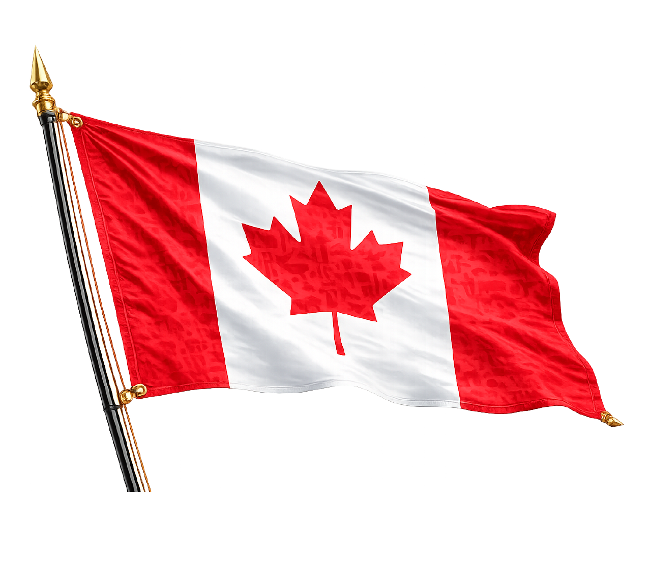 BANDERA 100% SUBLIMADA - Image 4